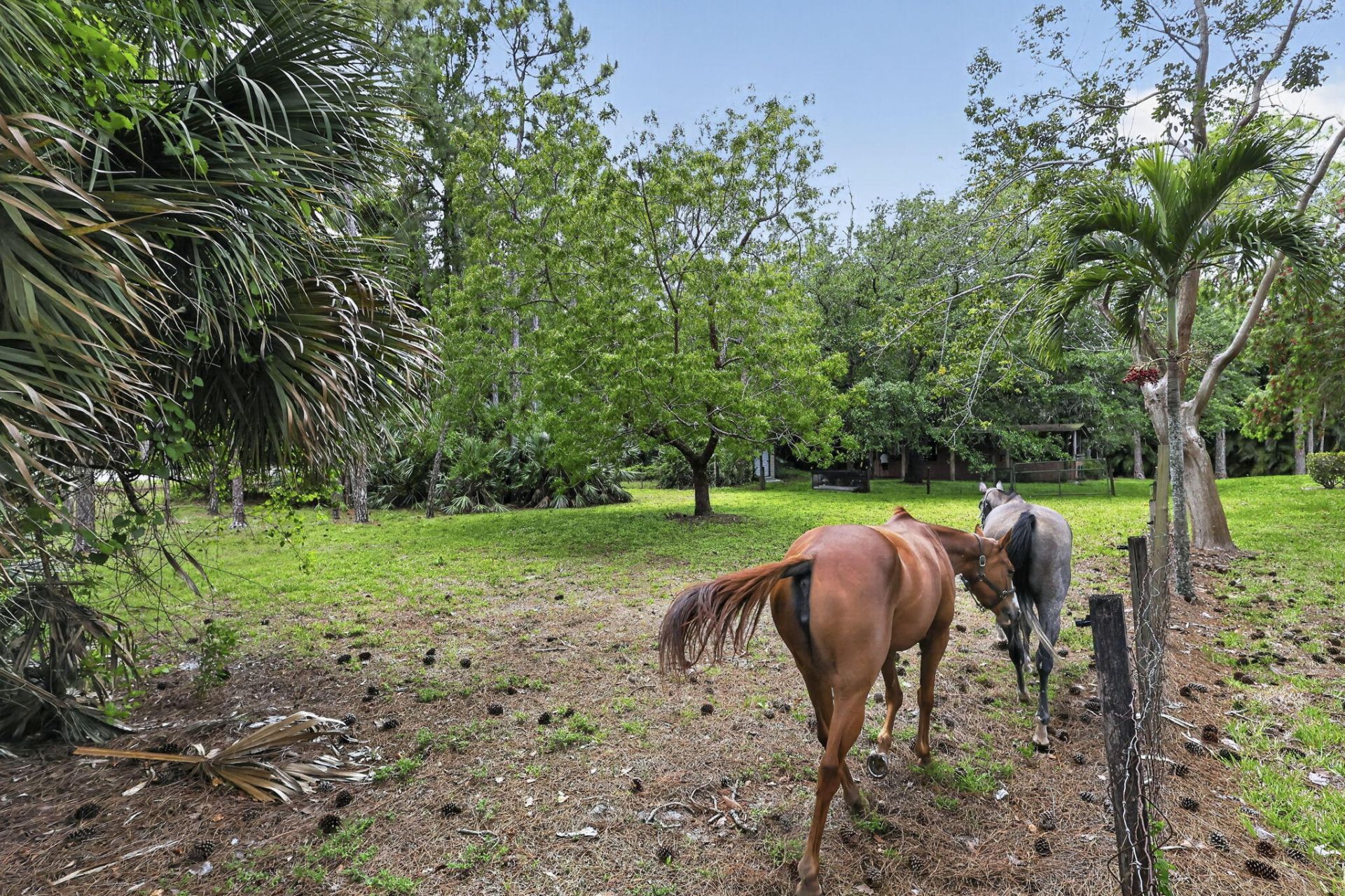 6045 Hall Boulevard, The Acreage, FL 33470 Photo