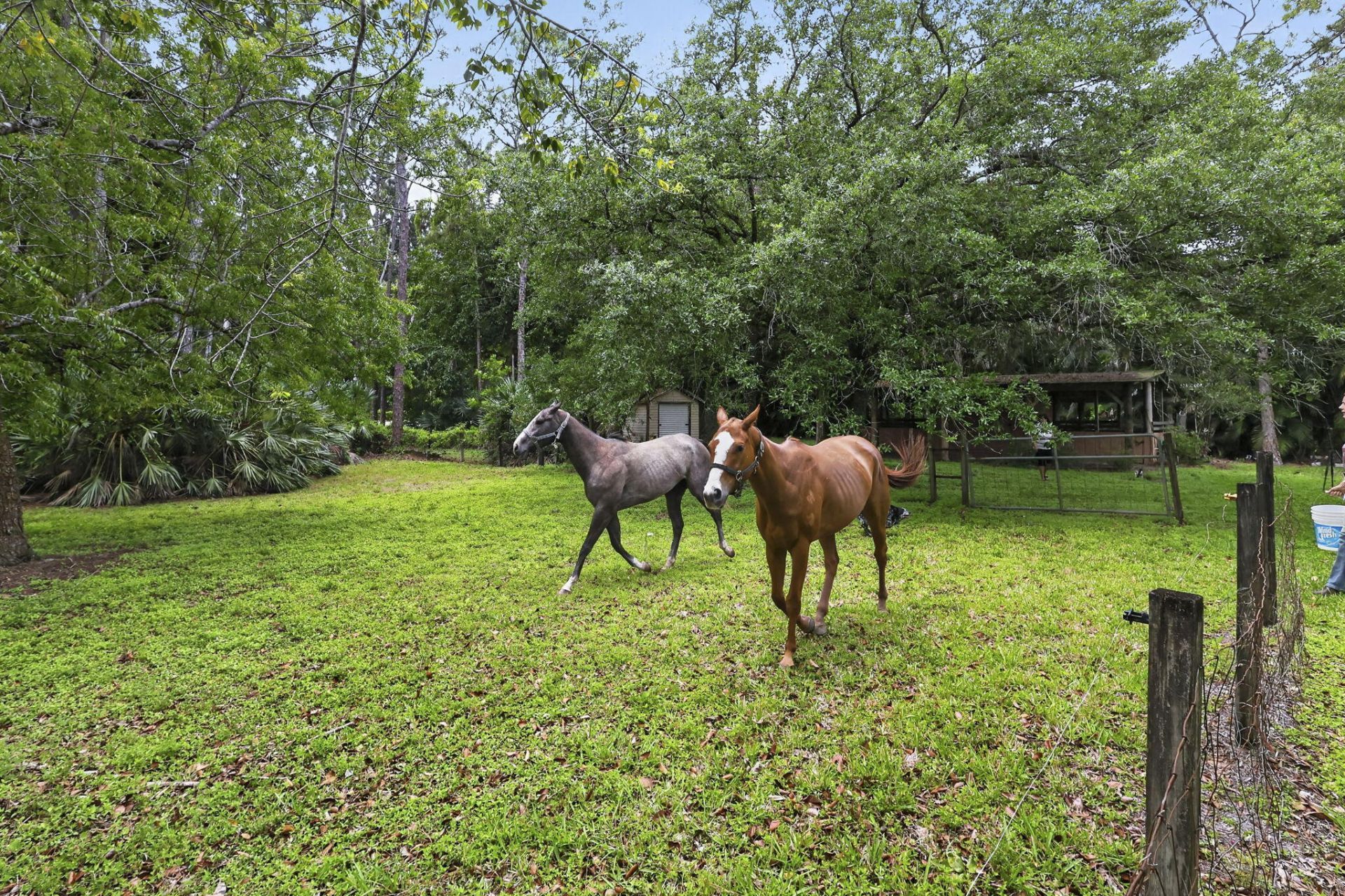 6045 Hall Boulevard, The Acreage, FL 33470 Photo