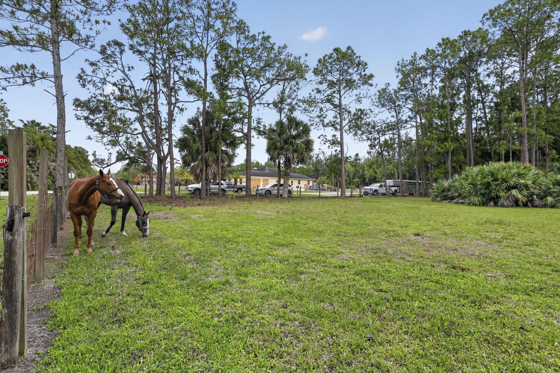 6045 Hall Boulevard, The Acreage, FL 33470 Photo