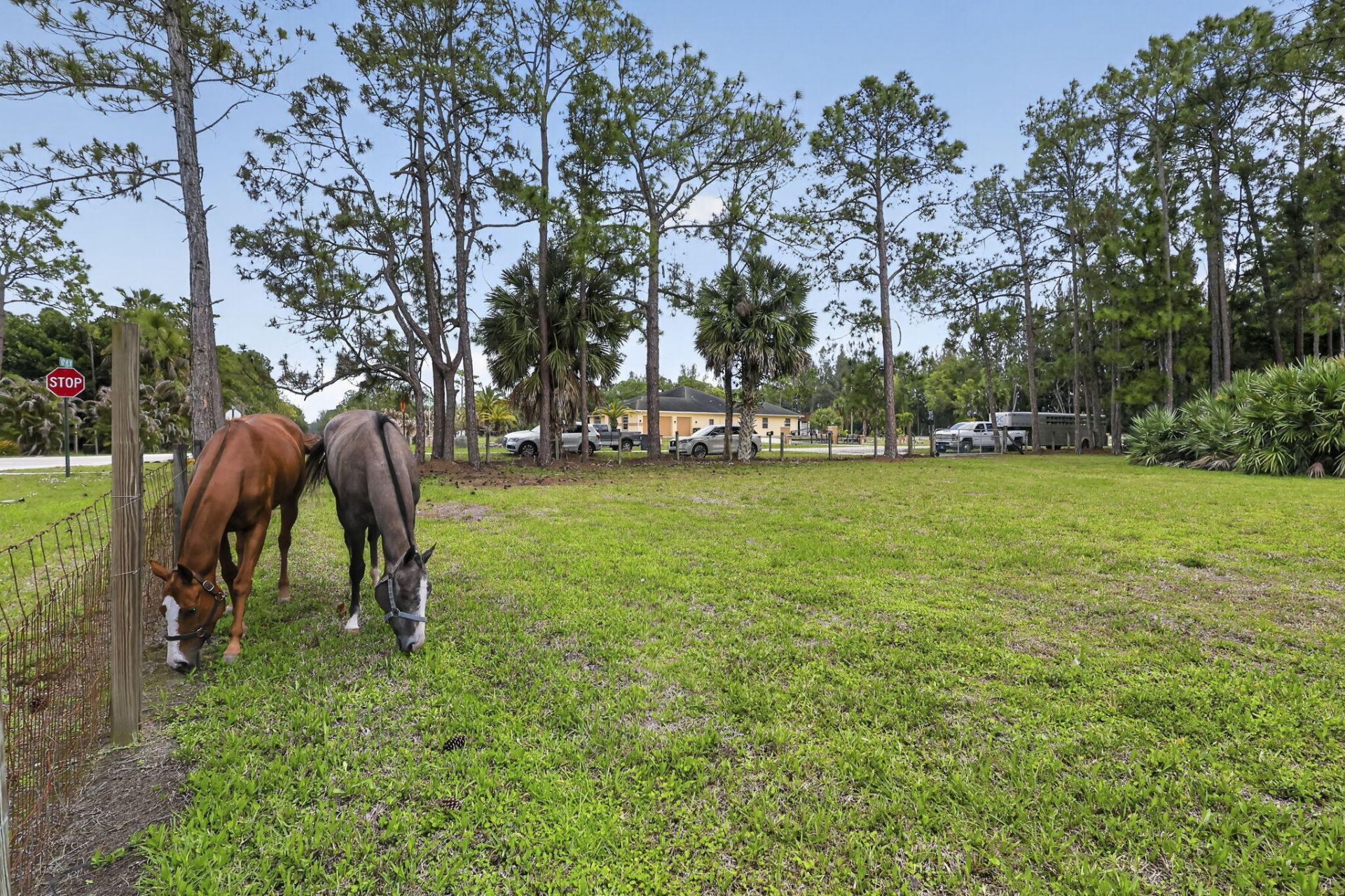 6045 Hall Boulevard, The Acreage, FL 33470 Photo