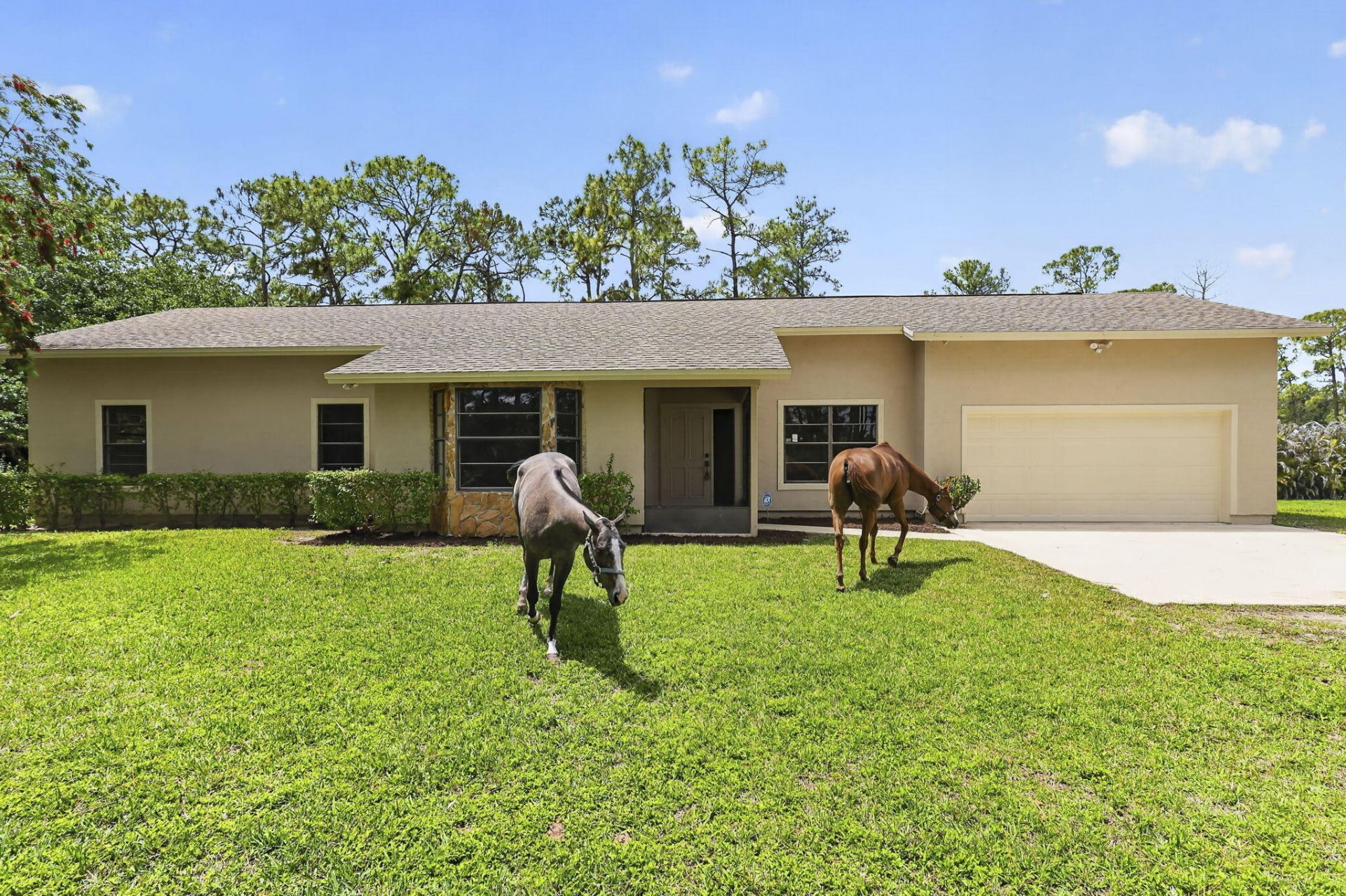 6045 Hall Boulevard, The Acreage, FL 33470 Photo