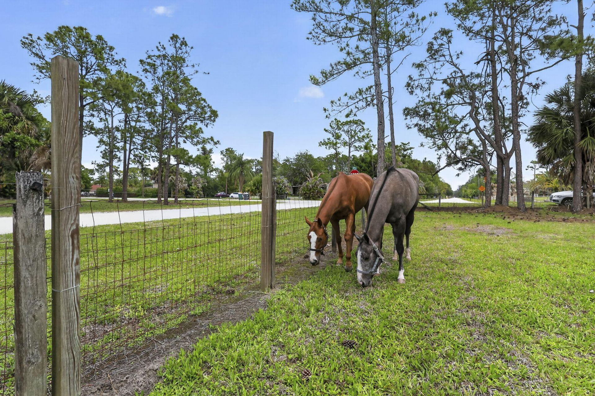 6045 Hall Boulevard, The Acreage, FL 33470 Photo