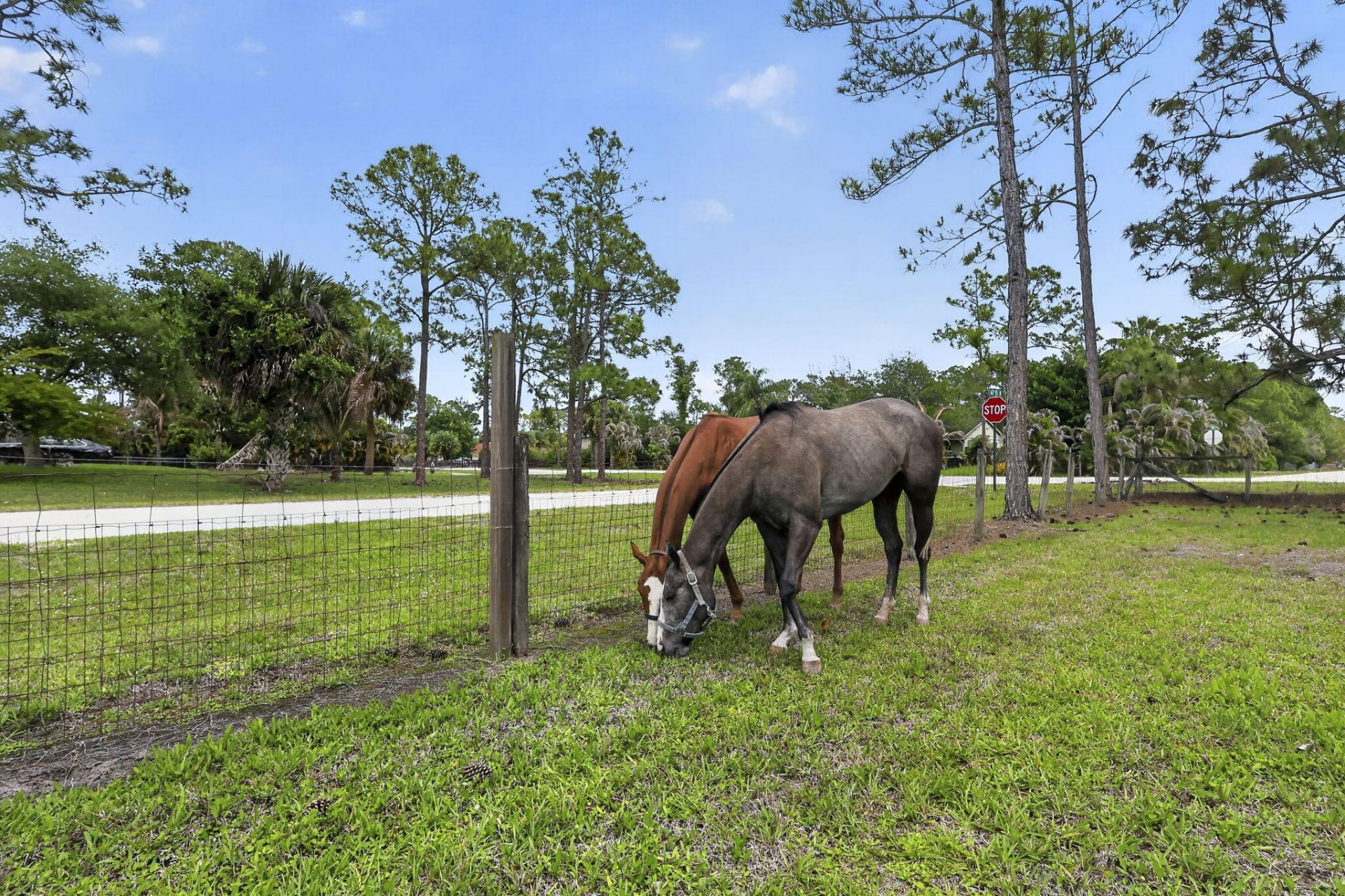 6045 Hall Boulevard, The Acreage, FL 33470 Photo