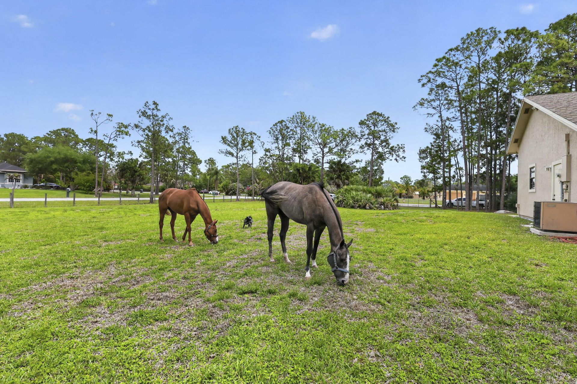6045 Hall Boulevard, The Acreage, FL 33470 Photo