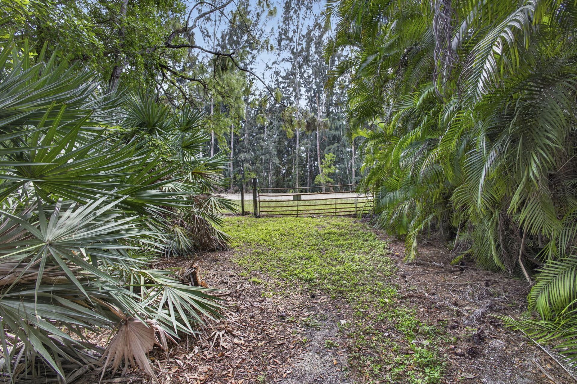 6045 Hall Boulevard, The Acreage, FL 33470 Photo