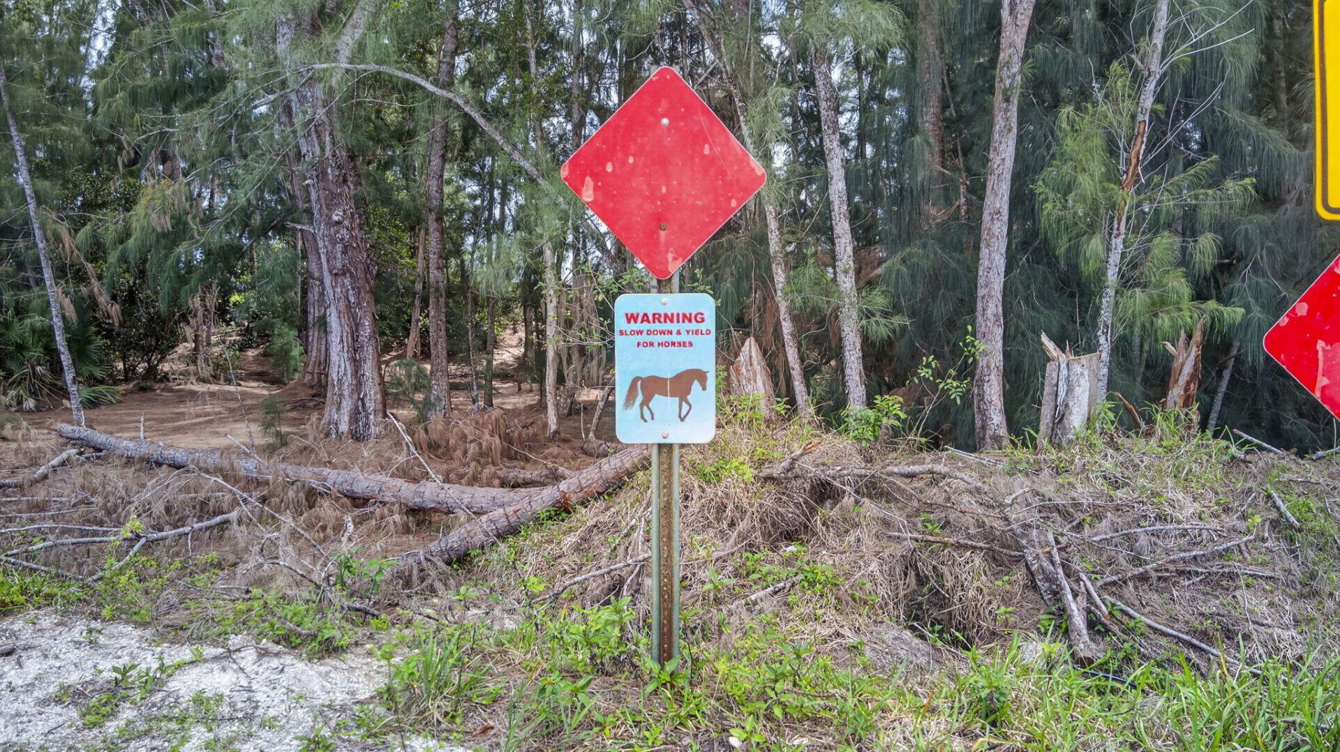 6045 Hall Boulevard, The Acreage, FL 33470 Photo