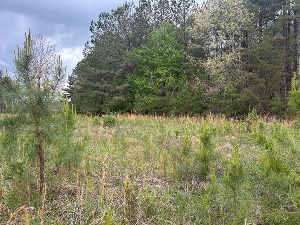 Lot 53 Pioneer Lane, Spencer, TN 38585