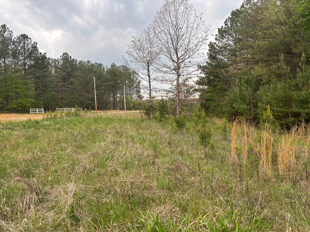 Lot 53 Pioneer Lane, Spencer, TN 38585 Main Photo