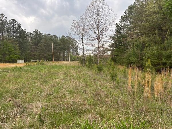 Lot 53 Pioneer Lane, Spencer, TN 38585