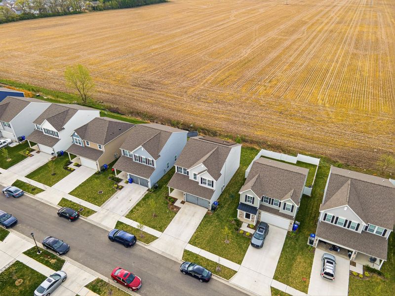 5351 Town Hill Drive, Canal Winchester, OH 43110 Photo 53