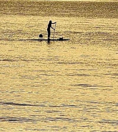 286 Bal Bay Dr , Unit 2B, Bal Harbour, FL 33154 Photo