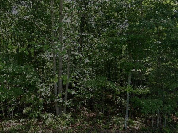 1001 Pahue Drive , Crossville, TN 38572