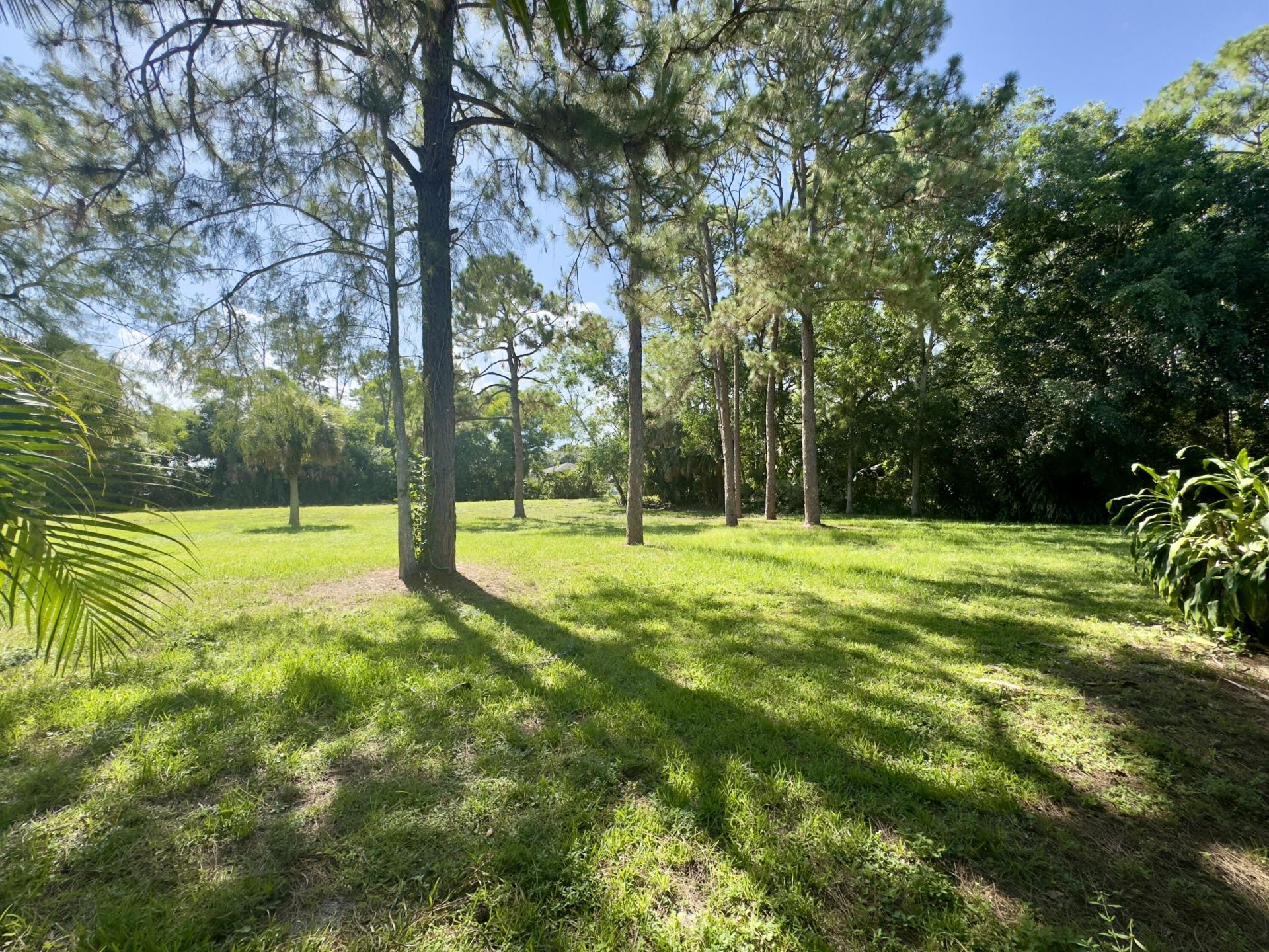 4901 N 129th Ave Avenue N, The Acreage, FL 33411 Photo