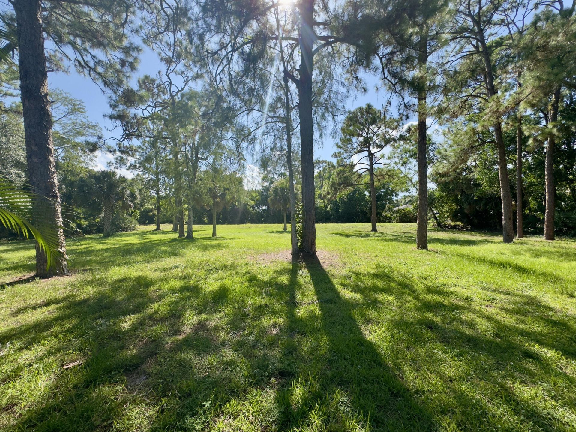 4901 N 129th Ave Avenue N, The Acreage, FL 33411 Photo