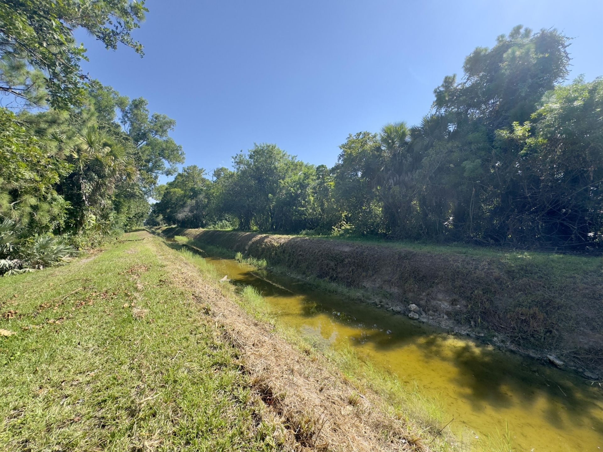 4901 N 129th Ave Avenue N, The Acreage, FL 33411 Photo