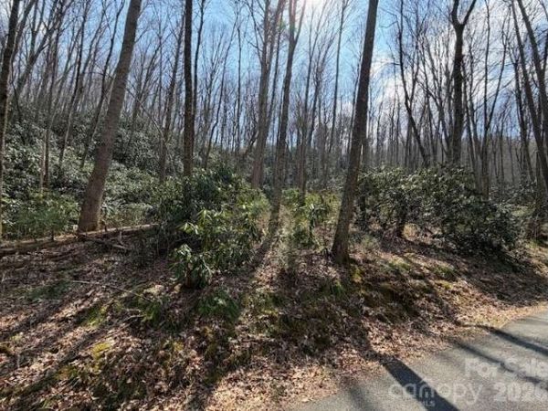 TBD Coyote Hollow Road , Waynesville, NC 28785