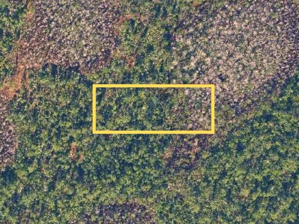 E COLONIAL DRIVE , CHRISTMAS, FL 32709