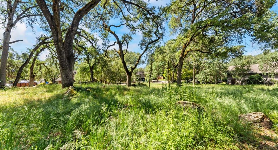 Royal Park Dr, Cameron Park, CA 95682 Photo