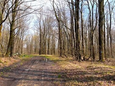 1700 28th Creek Road , Falconer, NY 14733