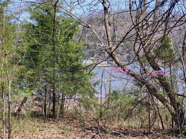 Emerald Hills Drive , Unit Phase 4 Lot 2, Edwards, MO 65326