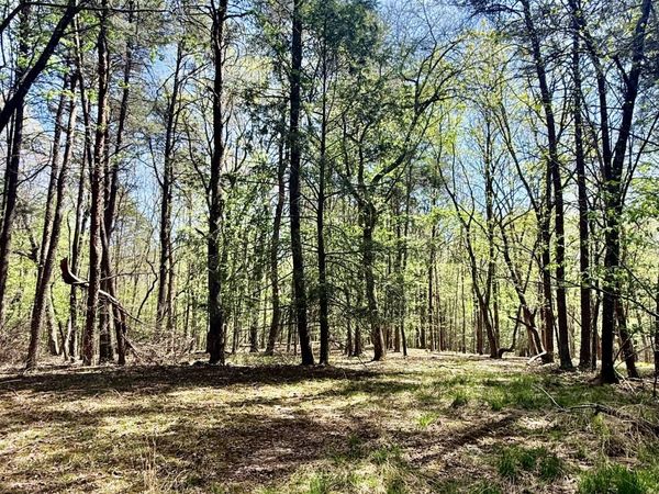 0 Timberwood Trace Lot 310 , Monteagle, TN 37356