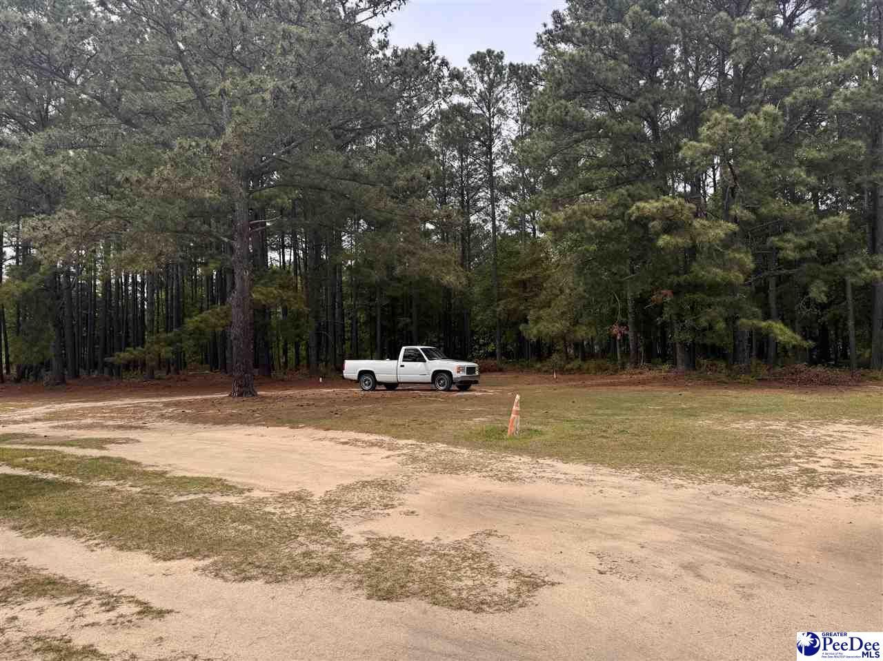 1135 N Main Street Photo 16