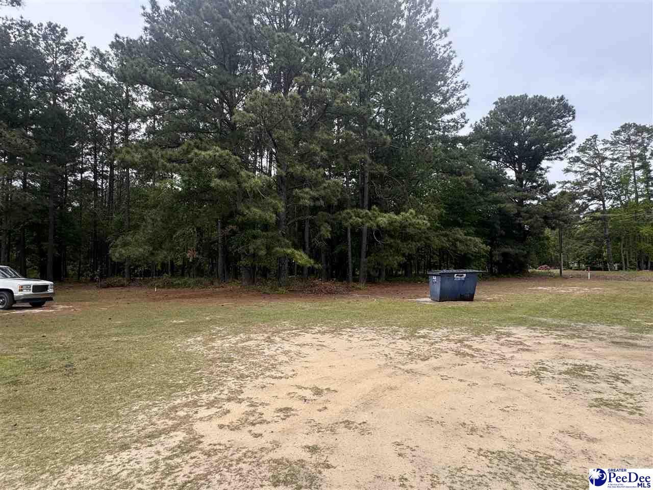 1135 N Main Street Photo 18