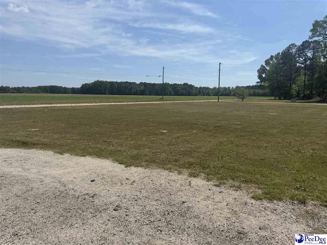 732 Dovefield Rd Photo 6