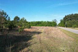 20.35 Acres Mineral Springs St photo 4