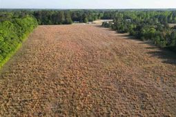 20.35 Acres Mineral Springs St photo 4