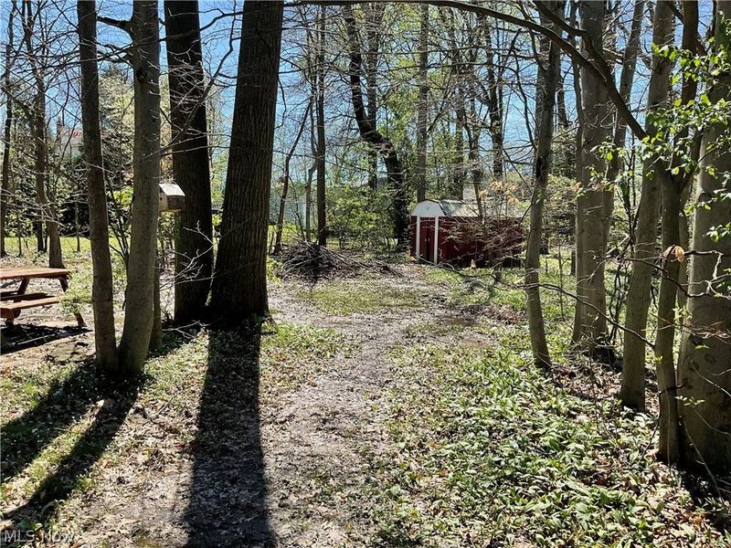 4257 Claridge Drive, Youngstown, OH 44511 Photo 27