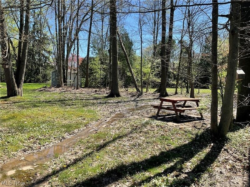 4257 Claridge Drive, Youngstown, OH 44511 Photo 28