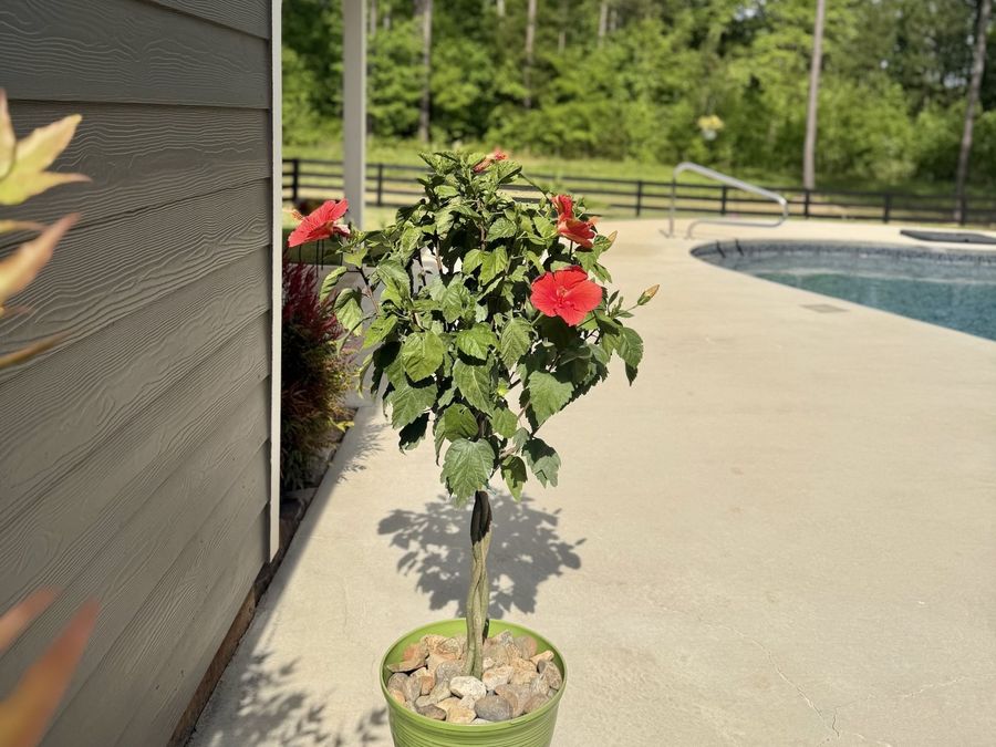 Property Image 59