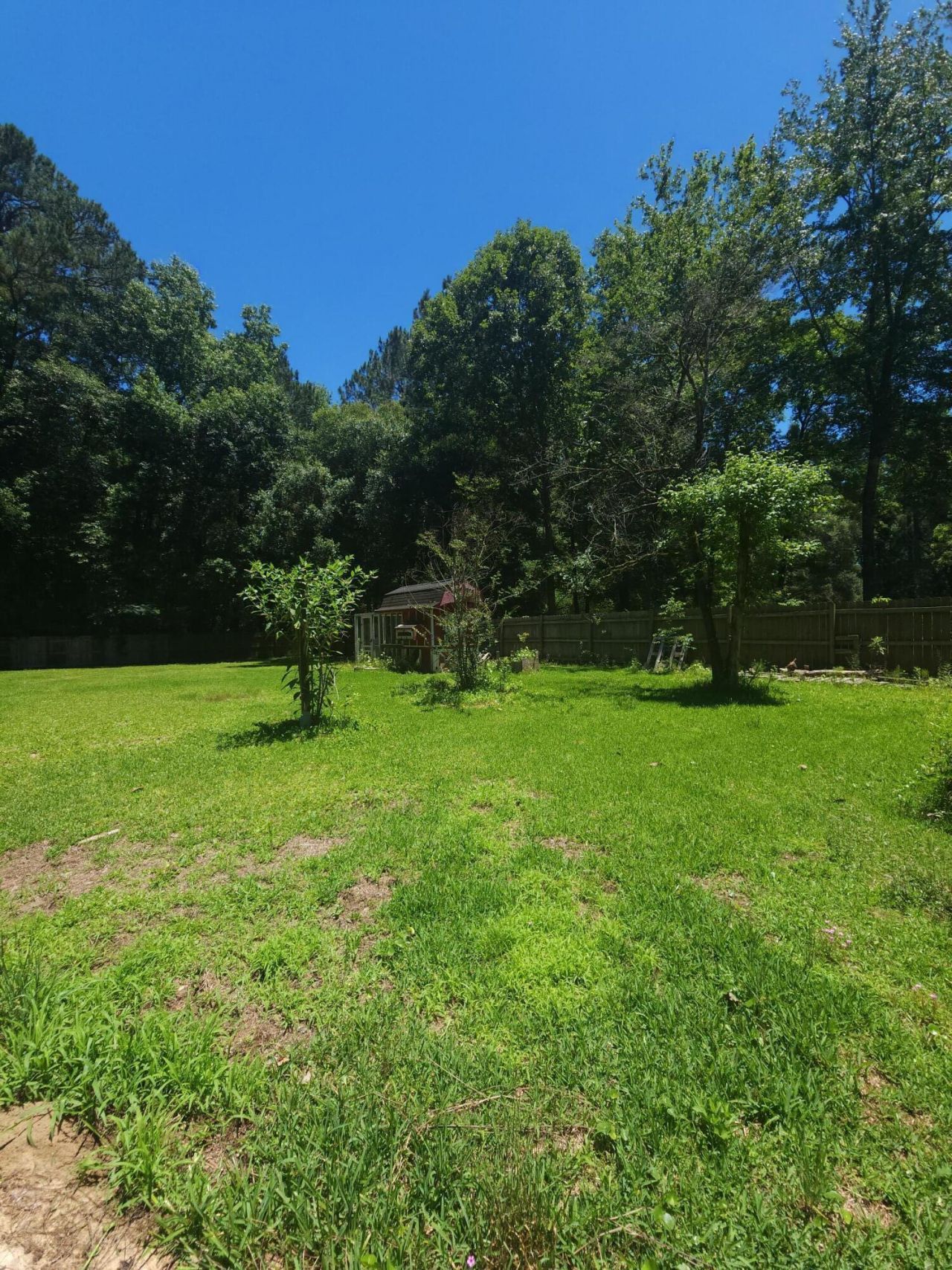 229 Wright Road Photo 15