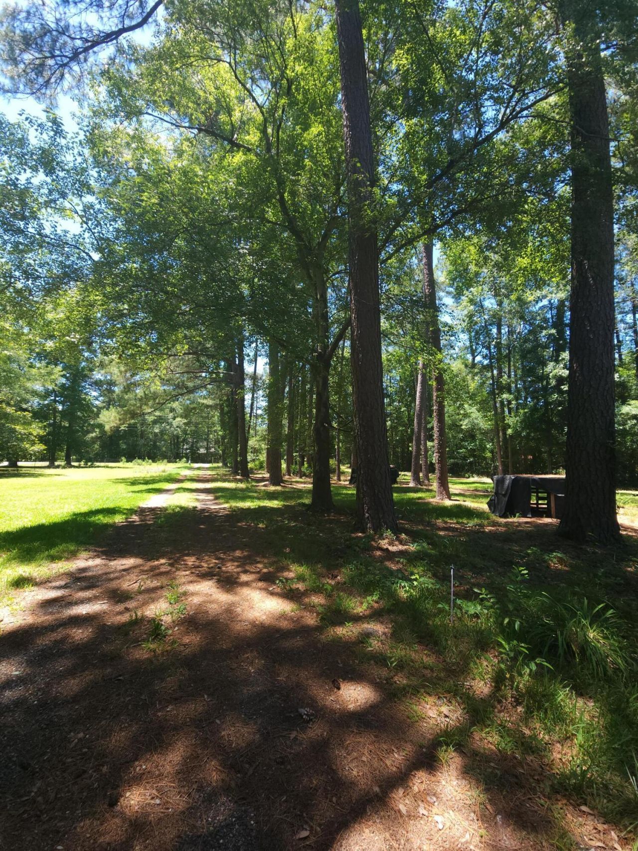 229 Wright Road Photo 5