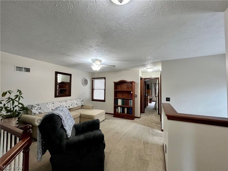 1025 Parsons Road, Grafton, OH 44044 Photo 24