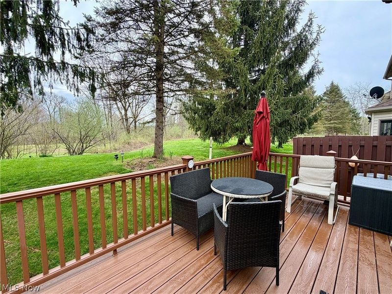 1025 Parsons Road, Grafton, OH 44044 Photo 42