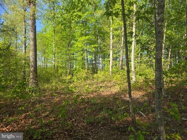 FIREHOUSE DRIVE, LOUISA, VA 23093