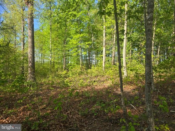 FIREHOUSE DRIVE, LOUISA, VA 23093