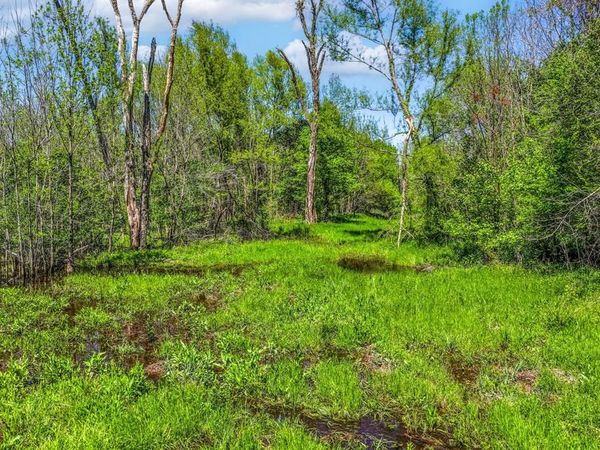 000 FM 196 , Deport, TX 75435