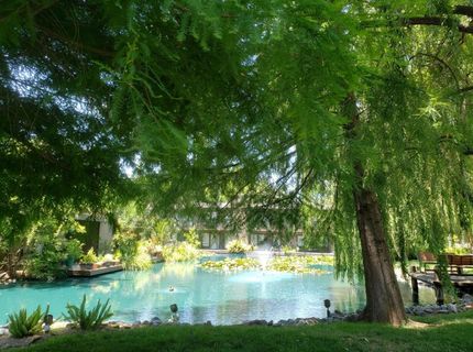 905 Fulton Ave #410, Unit 410, Sacramento, CA 95825 Photo