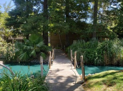 905 Fulton Ave #410, Unit 410, Sacramento, CA 95825 Photo