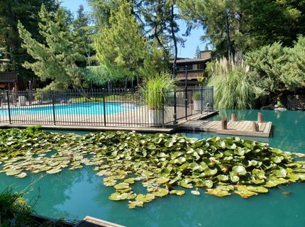 905 Fulton Ave #410, Unit 410, Sacramento, CA 95825 Photo