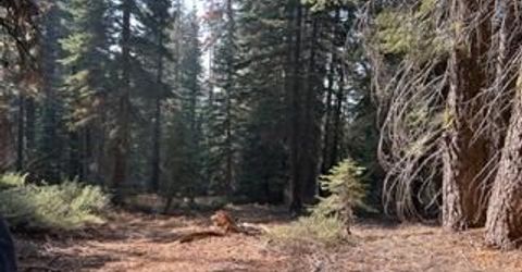 23 Blue Rock Trail, Dorrington, CA 95223 Photo