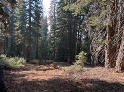 23 Blue Rock Trail, Dorrington, CA 95223 Photo