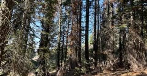 23 Blue Rock Trail, Dorrington, CA 95223 Photo