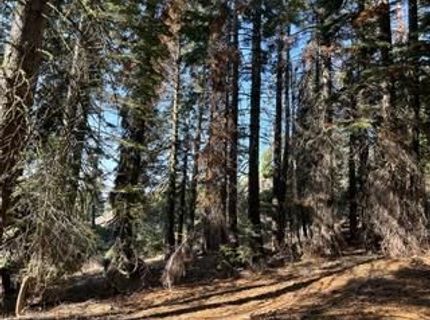 23 Blue Rock Trail, Dorrington, CA 95223 Photo