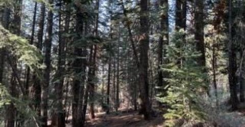 23 Blue Rock Trail, Dorrington, CA 95223 Photo