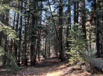 23 Blue Rock Trail, Dorrington, CA 95223 Photo