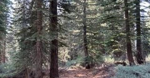 23 Blue Rock Trail, Dorrington, CA 95223 Photo